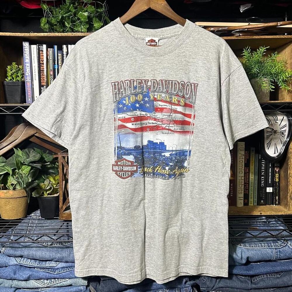 Vintage Y2K 2003 Harley Davidson Biker Tee Mens Large Grey Double Sided Shirt